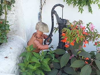 Photo Gallery Image - Flower pot man in Berrynarbor