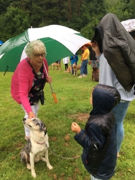 Photo Gallery Image - Berrynarbor Dog Show July 2018