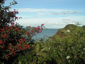 Photo Gallery Image - Views from the coast path